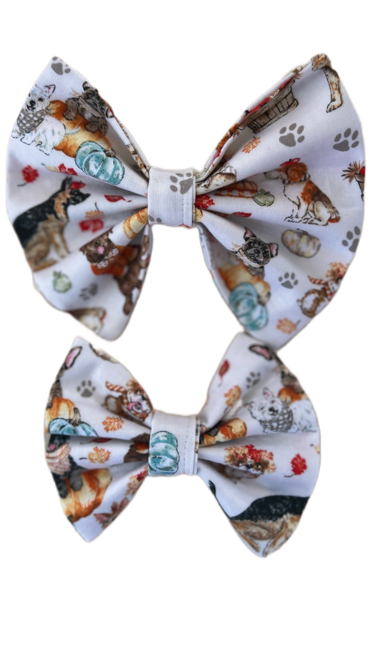 Fall Dog Bow Tie