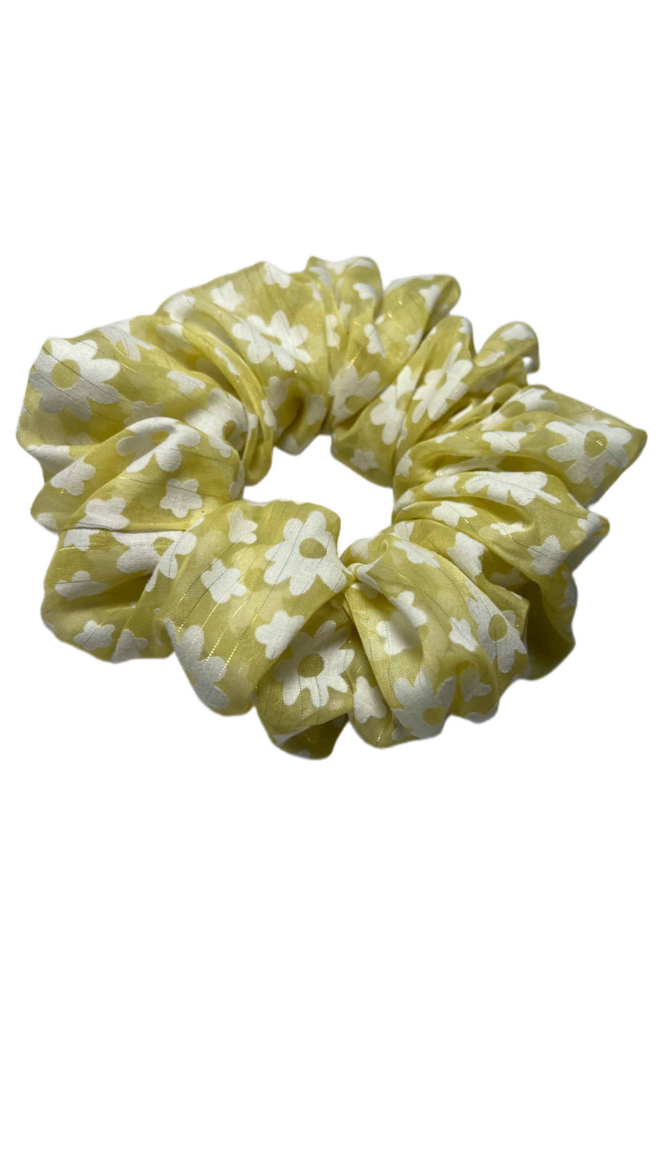 Yellow and White Daisy