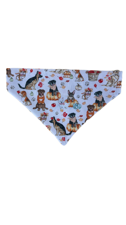 Fall Dog Bandana